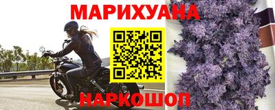 гидропоника Гусев