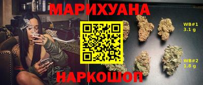 гидропоника Гусев