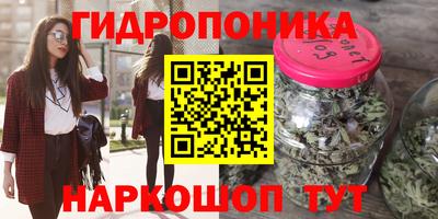 марки lsd Гусиноозёрск